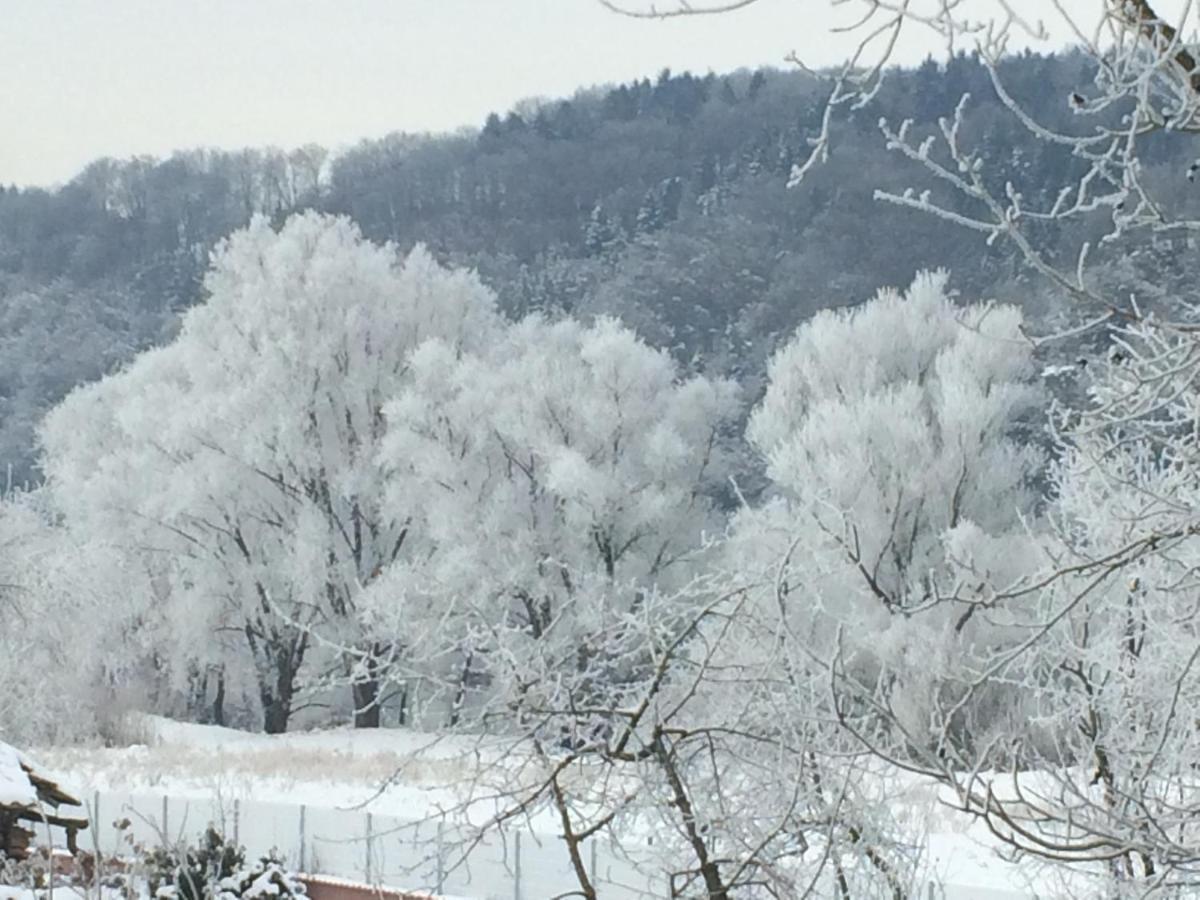 Idylle II An Der Donau Lägenhet Pentling Exteriör bild